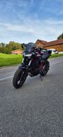 Kawasaki Z650, 2025