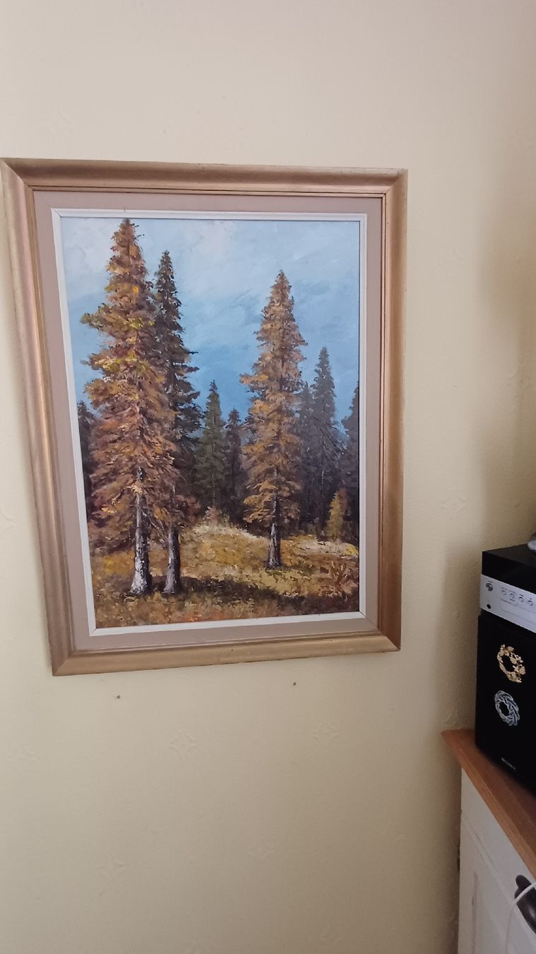 Dipinti: Schönes Naturbild Handgemalt  – Usato da Flawil venduto da Pinkmalibu 6