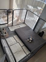 Hunde Auslaufgehege