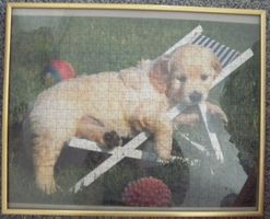 hunde puzzlebild mit rahmen