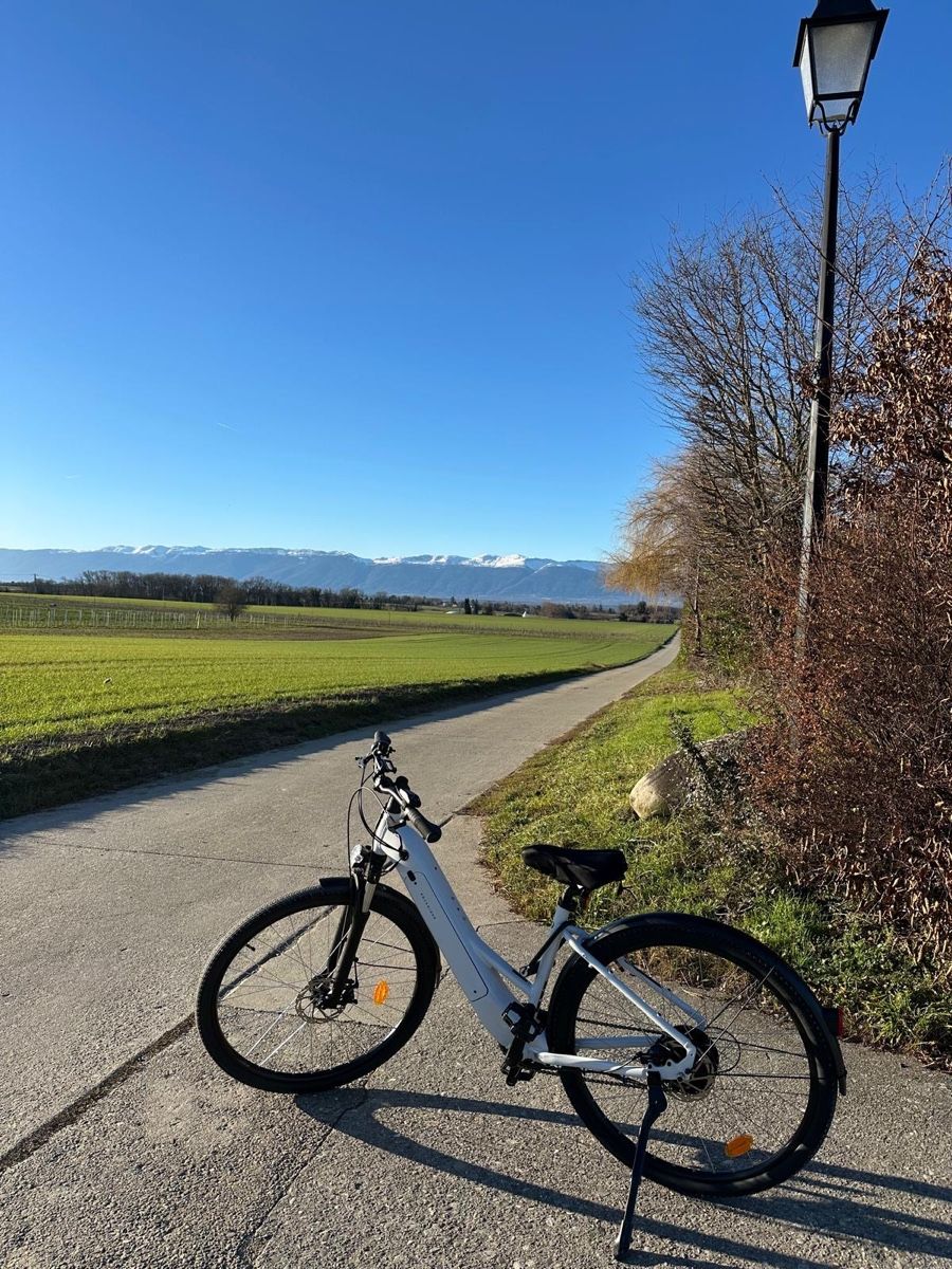 Biciclette: Vélo électrique comme neuf  – Nuovo (secondo la descrizione) da Chernex venduto da sif_6s8x 5