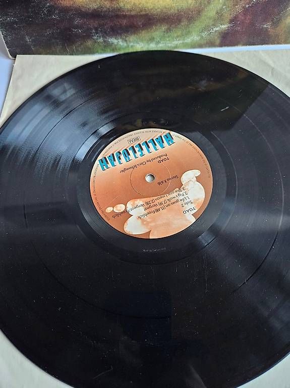 Vinyles: vinyl TOAD – D'occasion à St-Barthélemy VD par steepy33 3