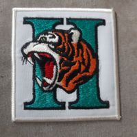 Patch Tiger F-5 E Schweizer Luftwaffe