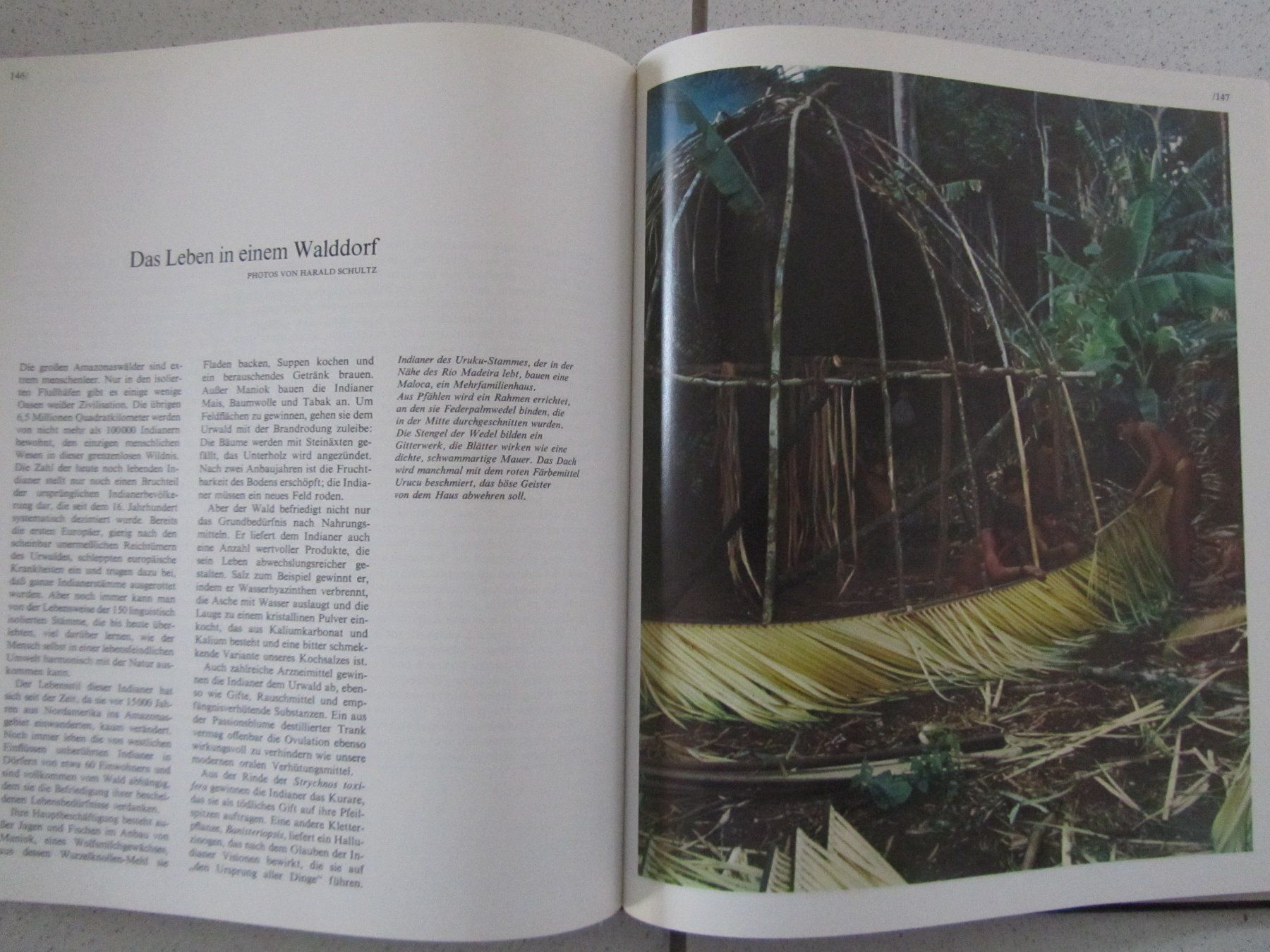 Bücher: Der Amazonas, ein Time-Life Buch – Gebraucht aus Weiningen ZH von dietsch57 8