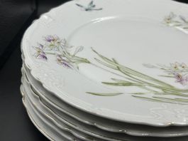 K&A S Porzellan Libelle, 6 Essteller 24cm