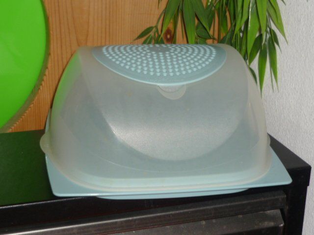 Tupperware Contenitori & Simili: TUPPERWARE CHEESMART MINI L. 20 CM. B. 20 CM. H. 8 CM. – Usato da St.Gallen venduto da Anso