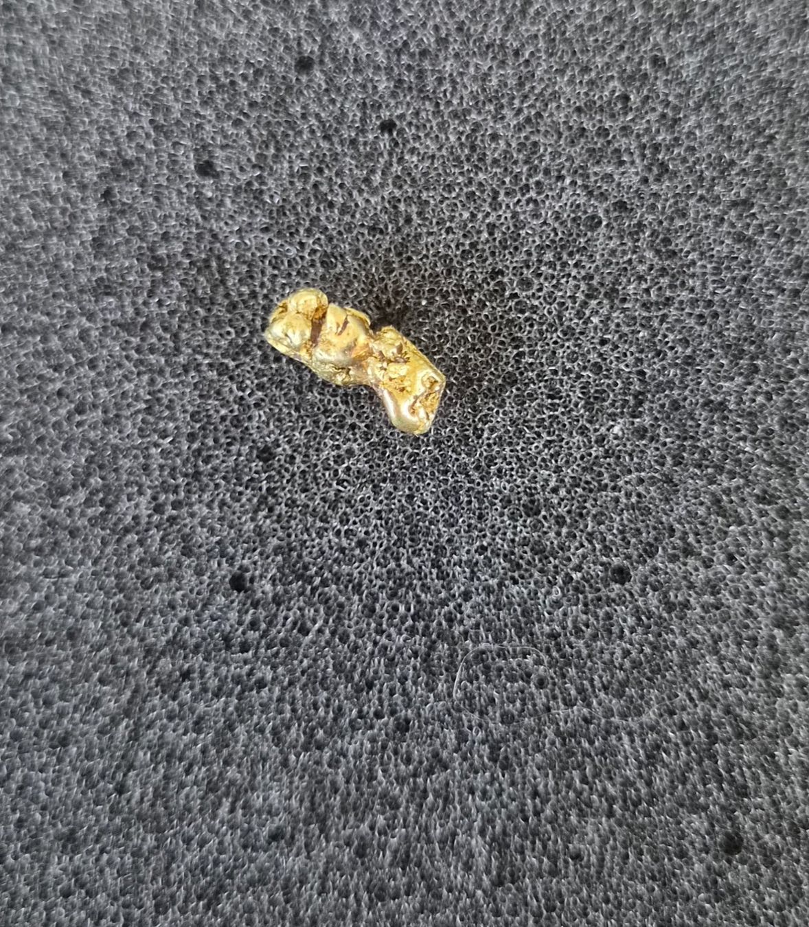 Ohrringe & -stecker: Goldnugget Ohrstecker – Neu (gemäss Beschreibung) aus Buchrain von YUKON09 1