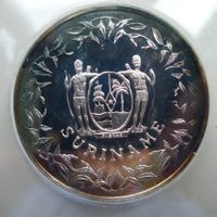 1994, Suriname, Silbermünze Fußball-Weltmeisterschaft 1994