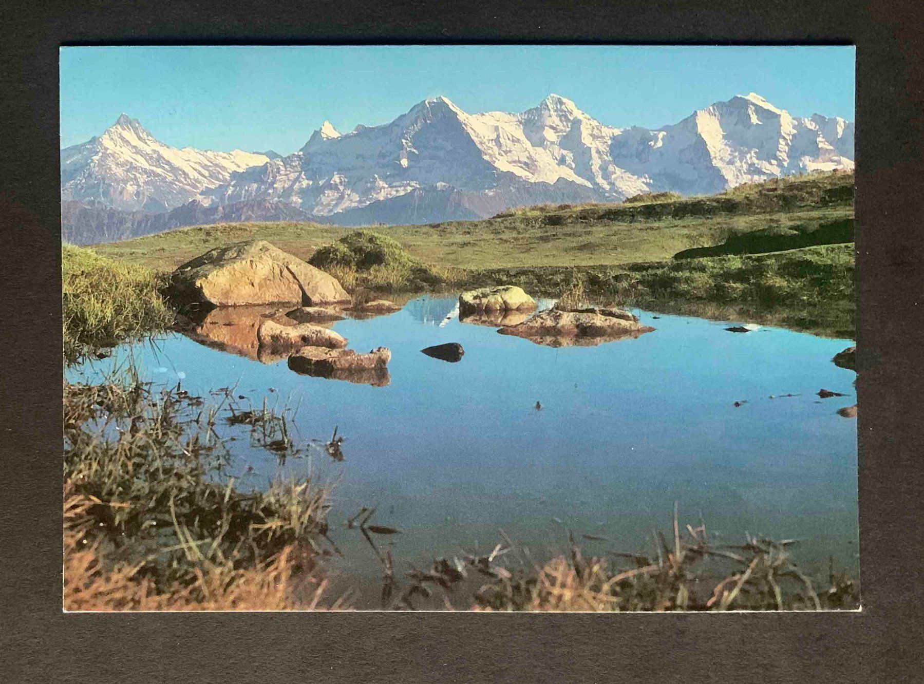 Cartoline postali: AK Niederhorn SBB Karte – Usato da Goldau venduto da artelier1