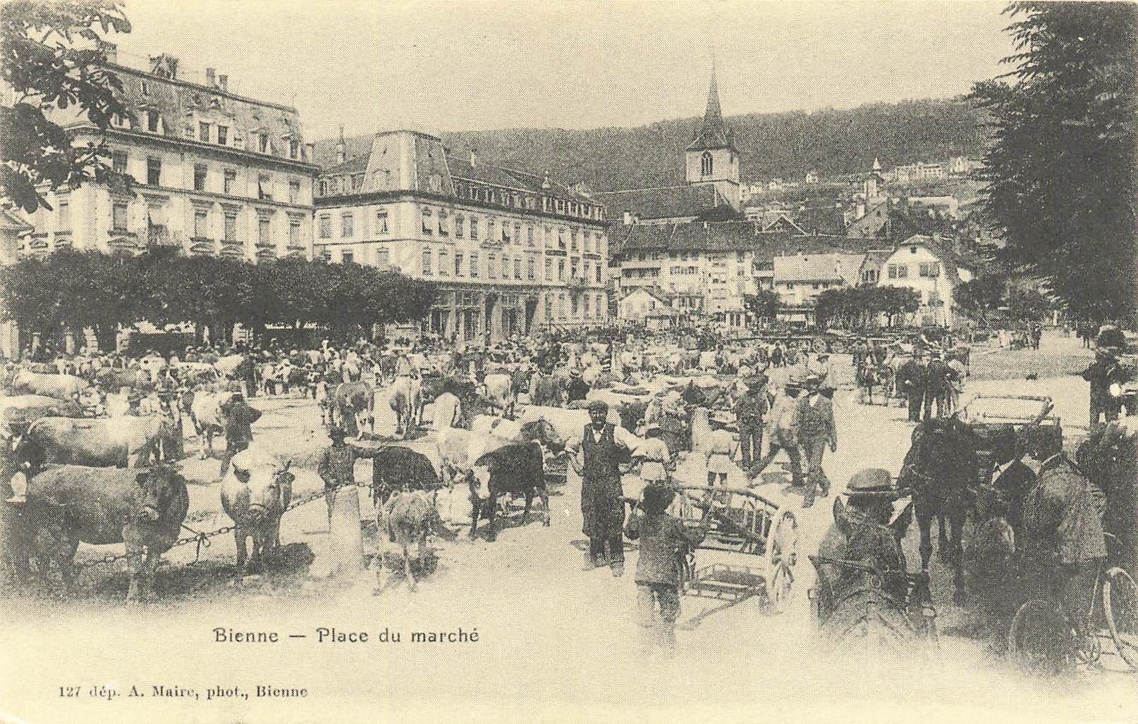 Cartoline postali: Bienne place du marche Vieh – Usato da Biasca venduto da Blenio71