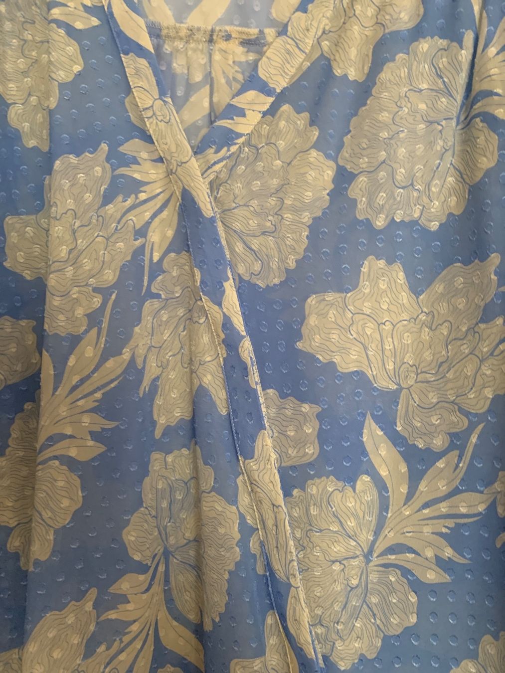 Camicette: IVi Collection - transparente Seidenbluse – Nuovo (secondo la descrizione) da Geuensee venduto da Gagisi 1