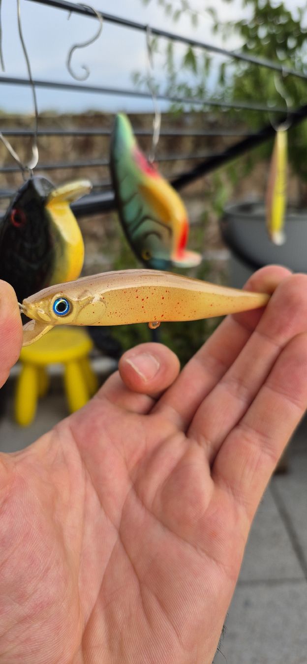 Köder: Wobbler von Hand Designt 7g Float Minnowhead – Neu (gemäss Beschreibung) aus Hägendorf von STrANDGuT86