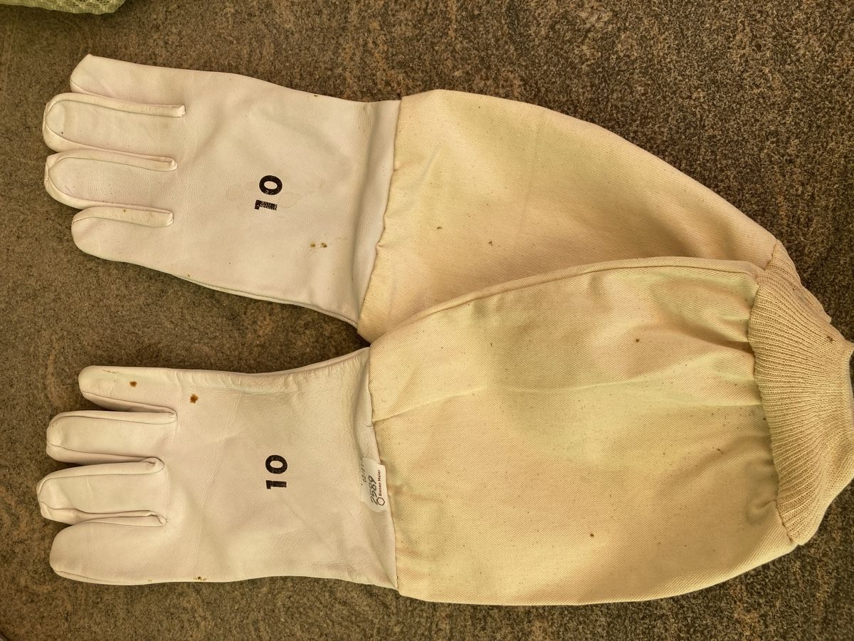 Sonstige Accessoires für Herren: Imker Handschuhe neuwertig  – Gebraucht aus Lindau von fam_pp2t