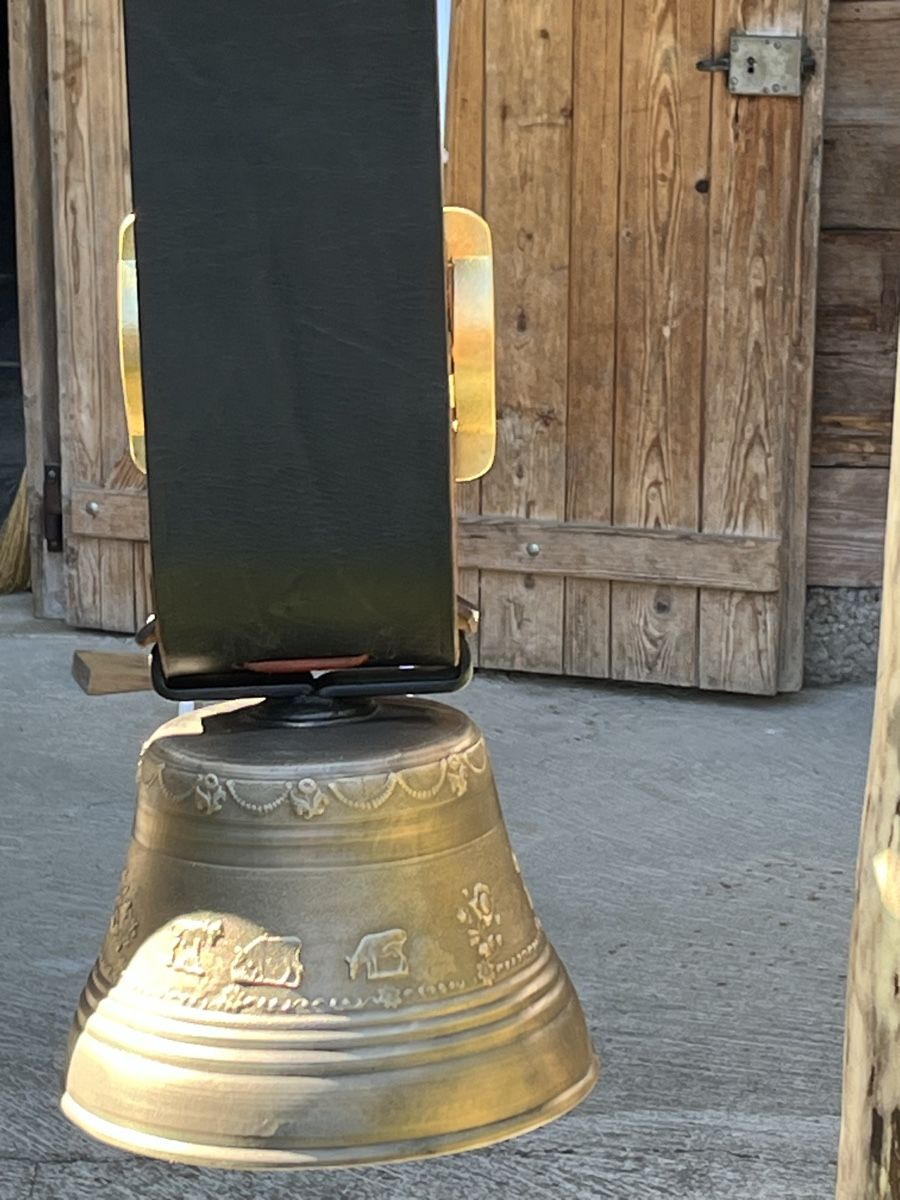 Campanacci mucche: Schöne Peter Berger Glocke – Usato da Wasen im Emmental venduto da weh_qg2d 2