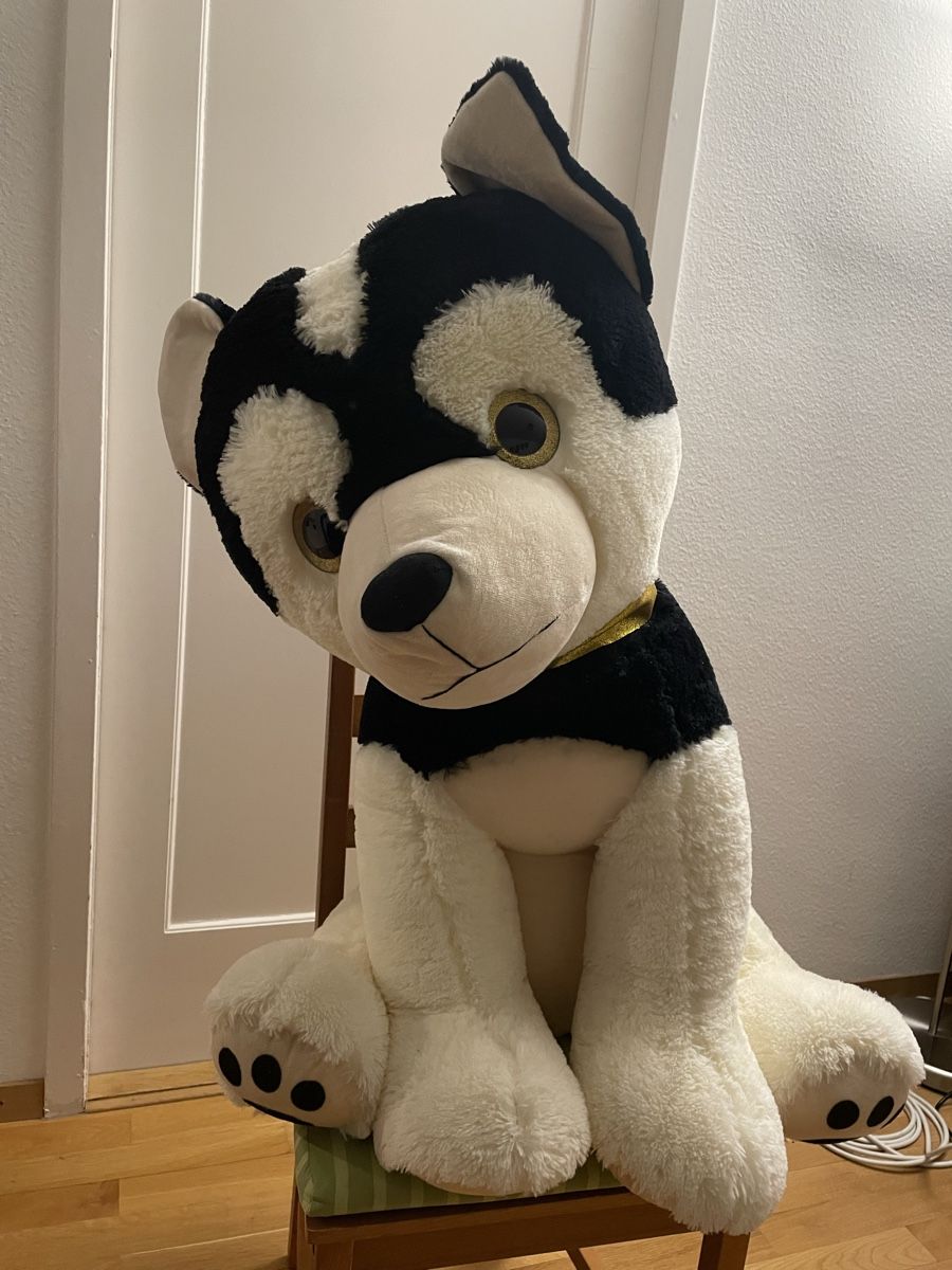 Giocattoli: Big Dog Plushy, plush, Husky – Usato da Zürich venduto da sezamki