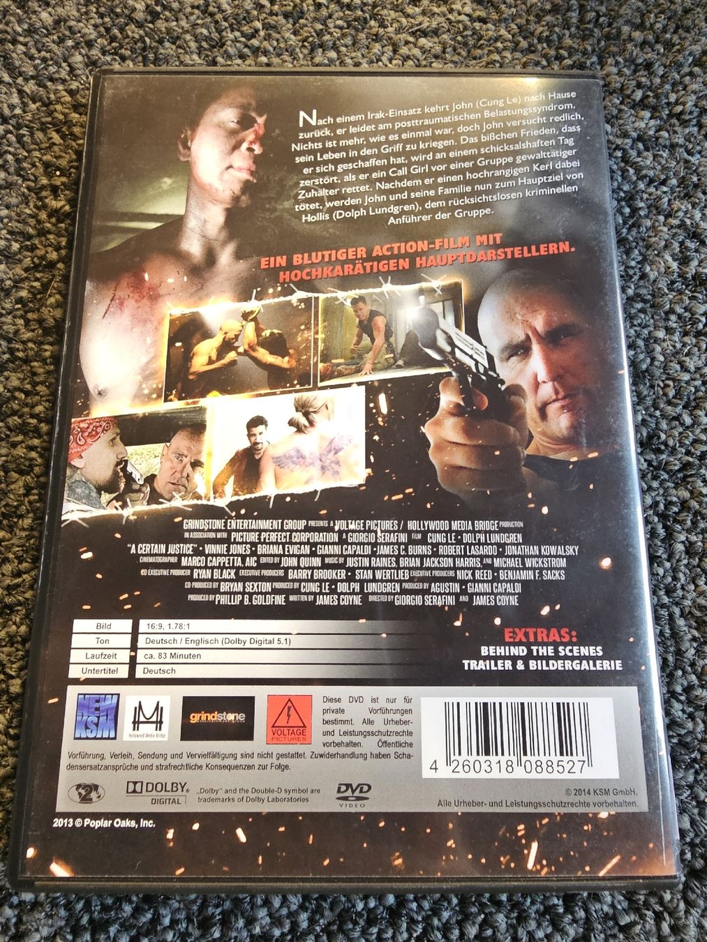 Tutti i DVDs: DVD Lethal Punisher (22441) – Usato da Ruswil venduto da jan_bxl5 1