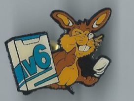 Placchette & Badge: IV6 Kaugummi Pin – Usato da Zürich venduto da t24_de