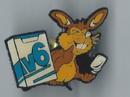 IV6 Kaugummi Pin