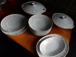 Lot Geschirr H&C Selb Bavaria Porzellan Grazie C. Ditting