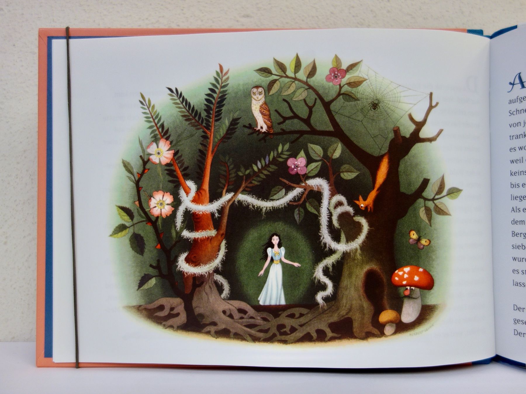 Bücher: Schneewittchen, Brüder Grimm, Herbert Leupin NEU TOP – Neu (gemäss Beschreibung) aus Kerzers von wisaundso 6