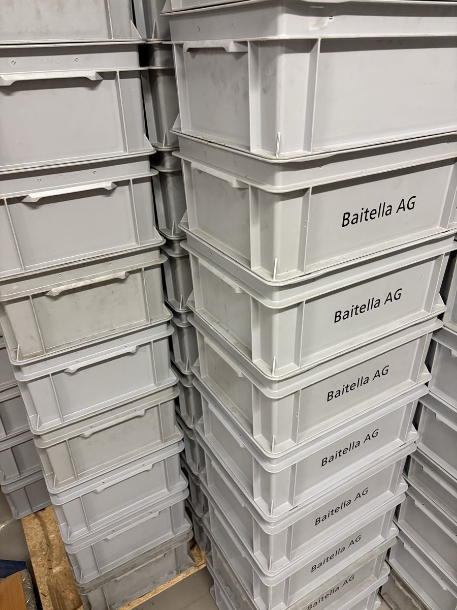 Contenitori & Simili: 10 Rako Boxen 40 x 30 x 17 cm – Usato da Rümlang venduto da resale35