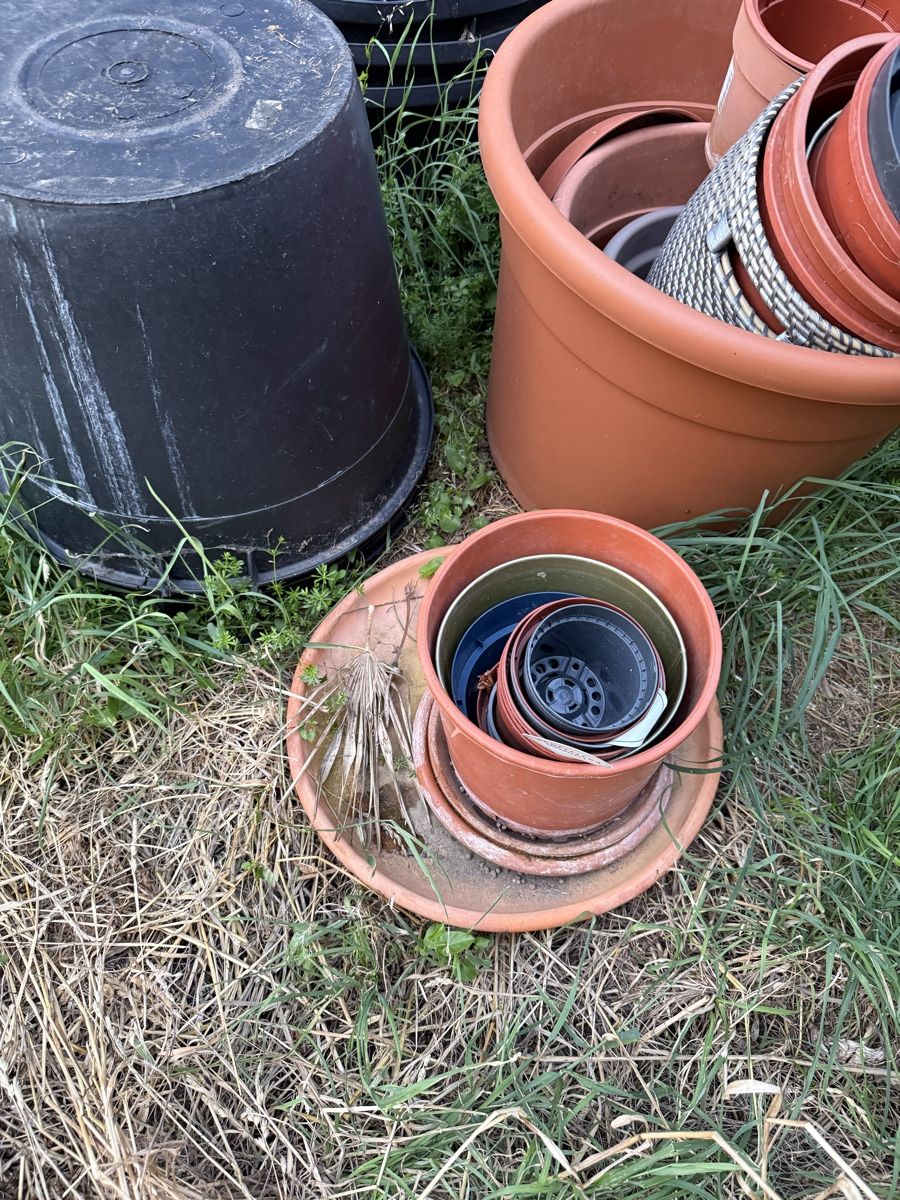 Vasi per fiori: Diverse Töpfe – Nuovo (secondo la descrizione) da Dübendorf venduto da Highqualityonly 4