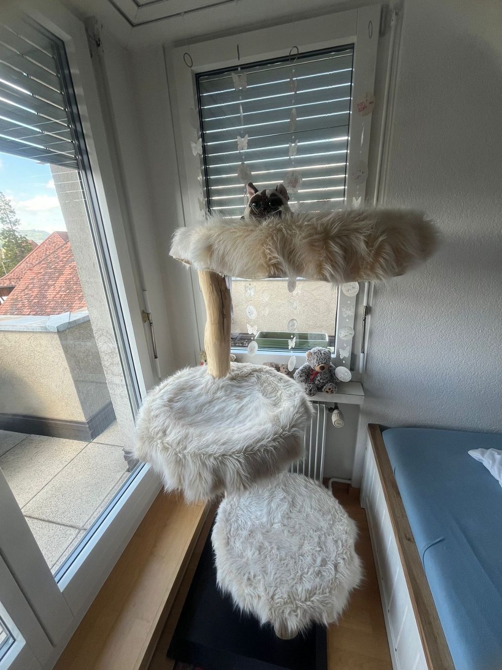 Tiragraffi: Kratzbaum für Katze – Usato da Tägertschi venduto da montague