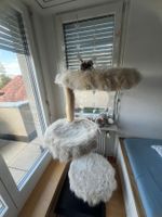Kratzbaum für Katze