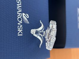SWAROVSKI  Sammlung Auflösung  AMUR FLOWER 2019