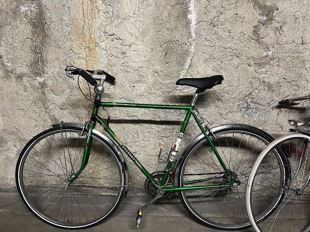 Biciclette: Vélo Peugeot  – Usato da Genève venduto da cfi_ty8q