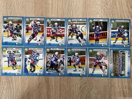 Grasshopper - Club Zürich_ 1993/94 Hockey Cards