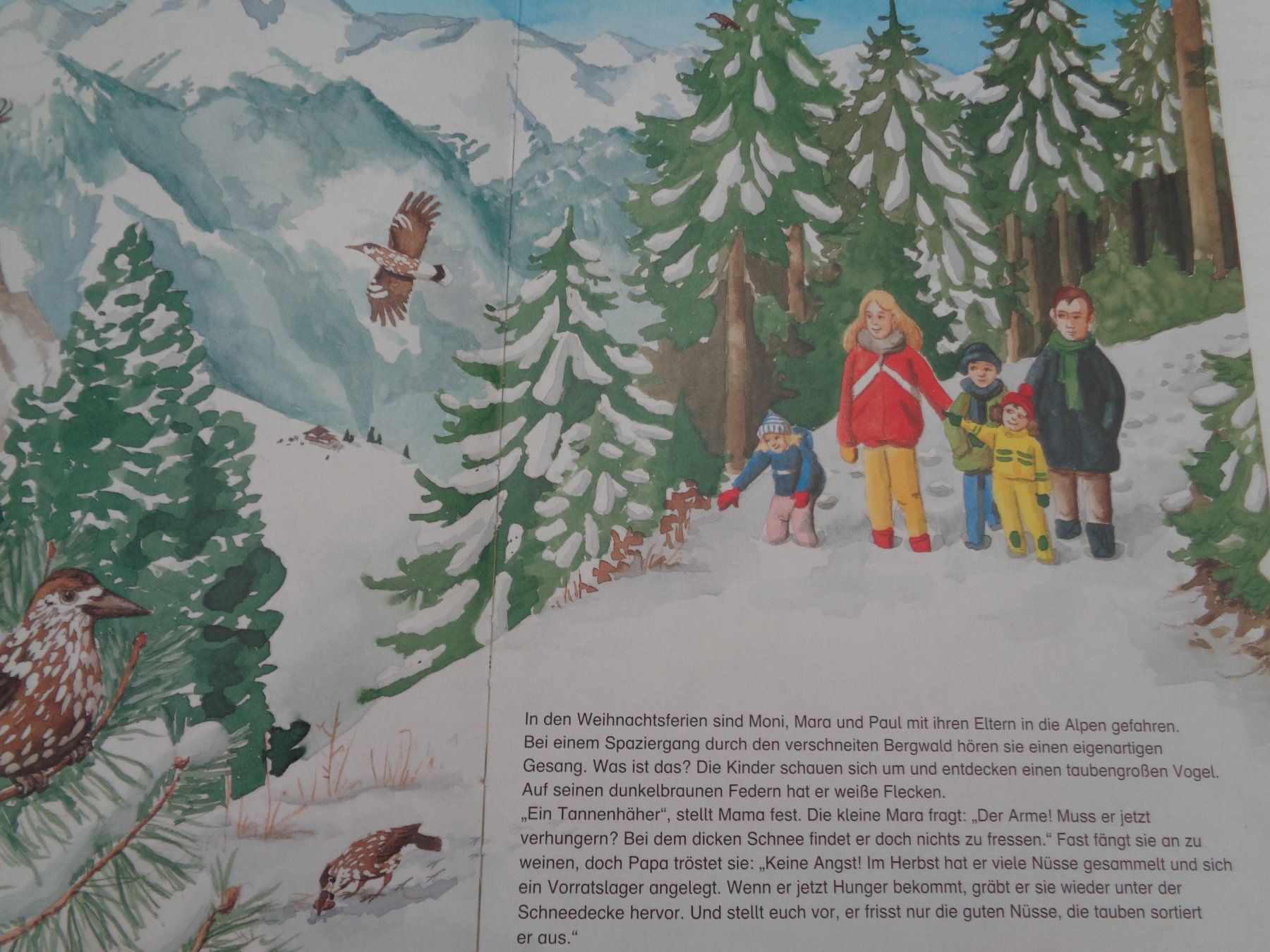 Livres: Die Tiere unseres Waldes – D'occasion à Chur par Oregano1 3