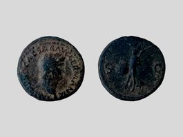 AB 1.- Restitutionsprägung aus der flavischen Dynastie