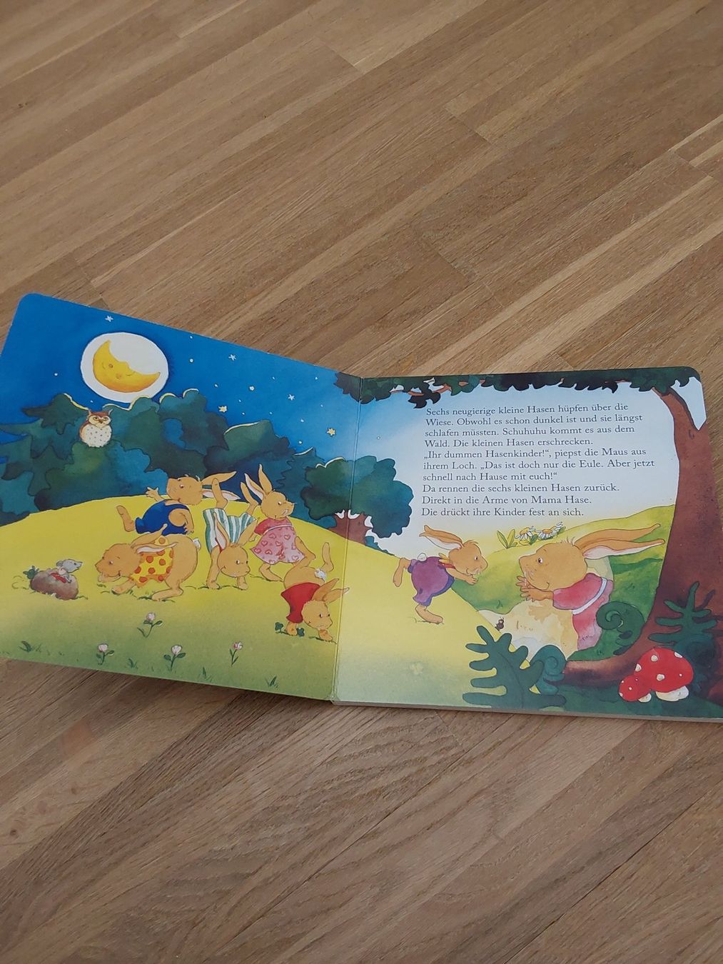Livres: Kinder Bucher – D'occasion à Wallisellen par Wallisellen77 8