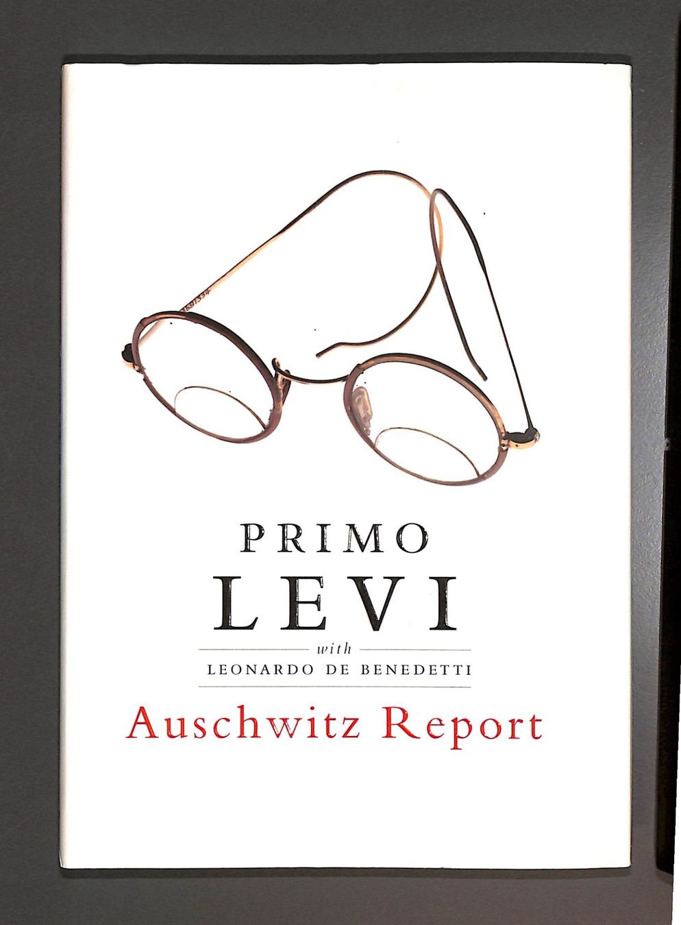 Libri: PRIMO LEVI Auschwitz Report - bewegend Leonardo de Benedetti – Usato da Zürich venduto da Nobs1