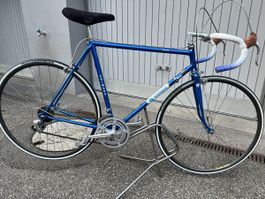 Rennvelo blau Shimano  