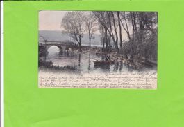 Zürichhorn-Ruderboot-belebt-1906