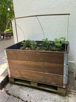 Hochbeet, 2 Stück, frisch befüllt