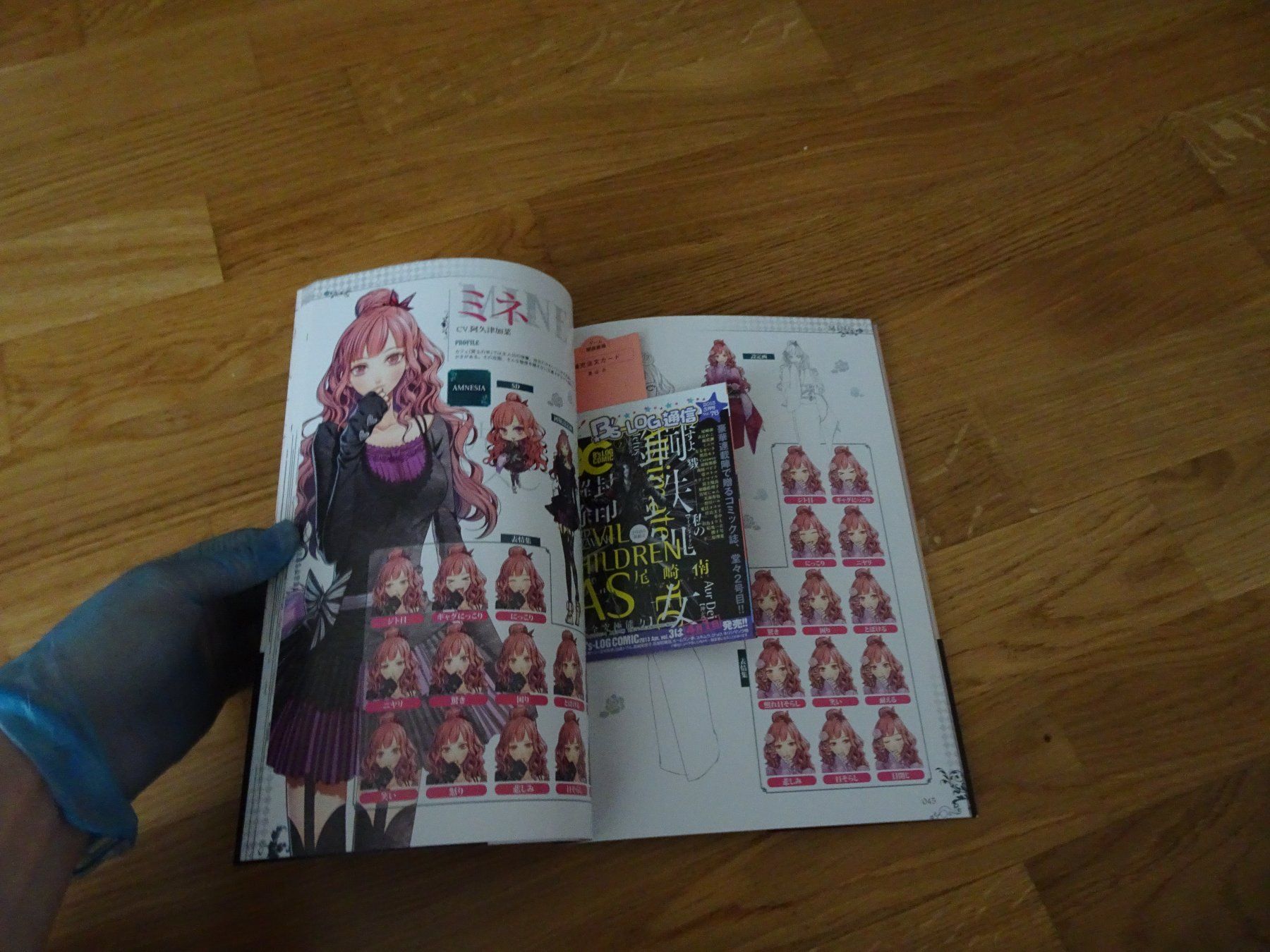 Libri: Amnesia - B'sLog Collection Settei Shiryoushuu Artbook – Usato da Bern venduto da Maronn 3