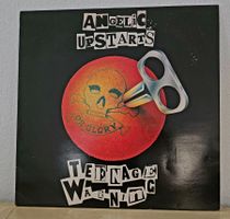 Angelic Upstarts - Teenage Warning LP,