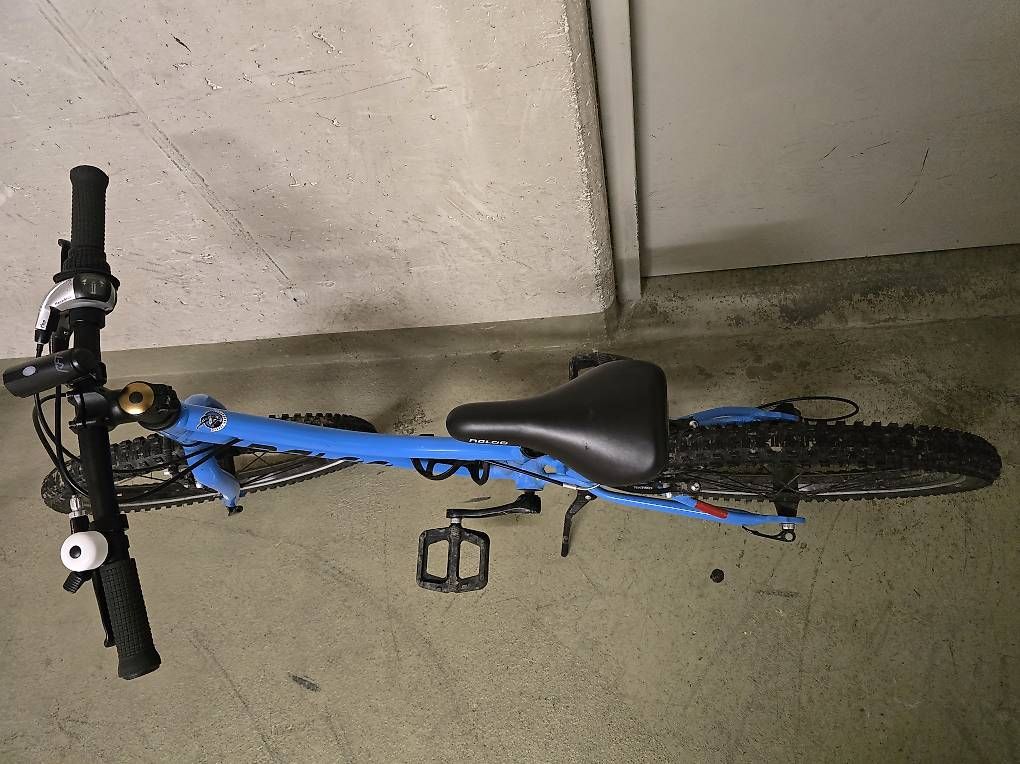Velos: NALOO CHAMELEON 20 ZOLL MK2 – Gebraucht aus Chur von tri_zz7k 1