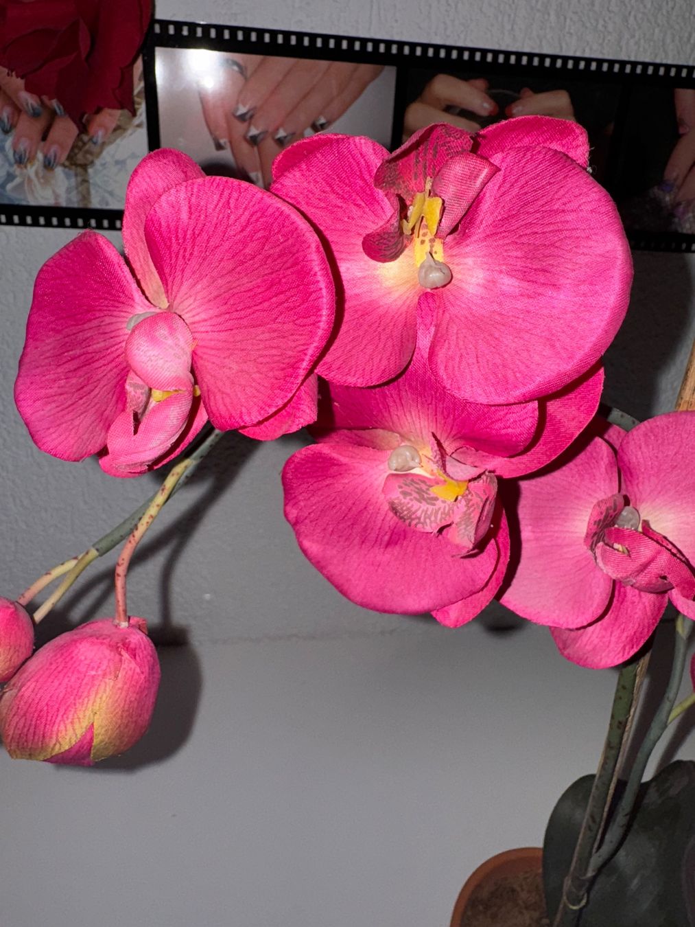 Piante & sementi: Künstliche pinke Orchidee – Usato da Grosswangen venduto da Second_hand_paradise 1