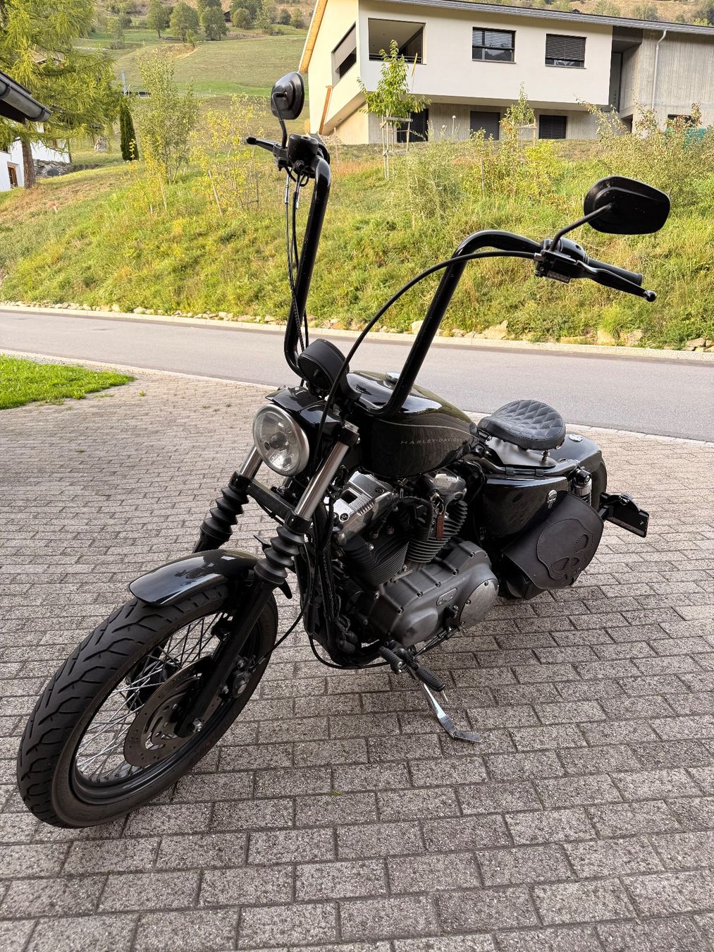 Harley-Davidson Chopper: Harley-Davidson XL1200N – Usato da Trun venduto da borns111 2