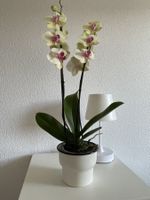 Emaille-Übertopf, 10 / 13 cm cm Durchmesser