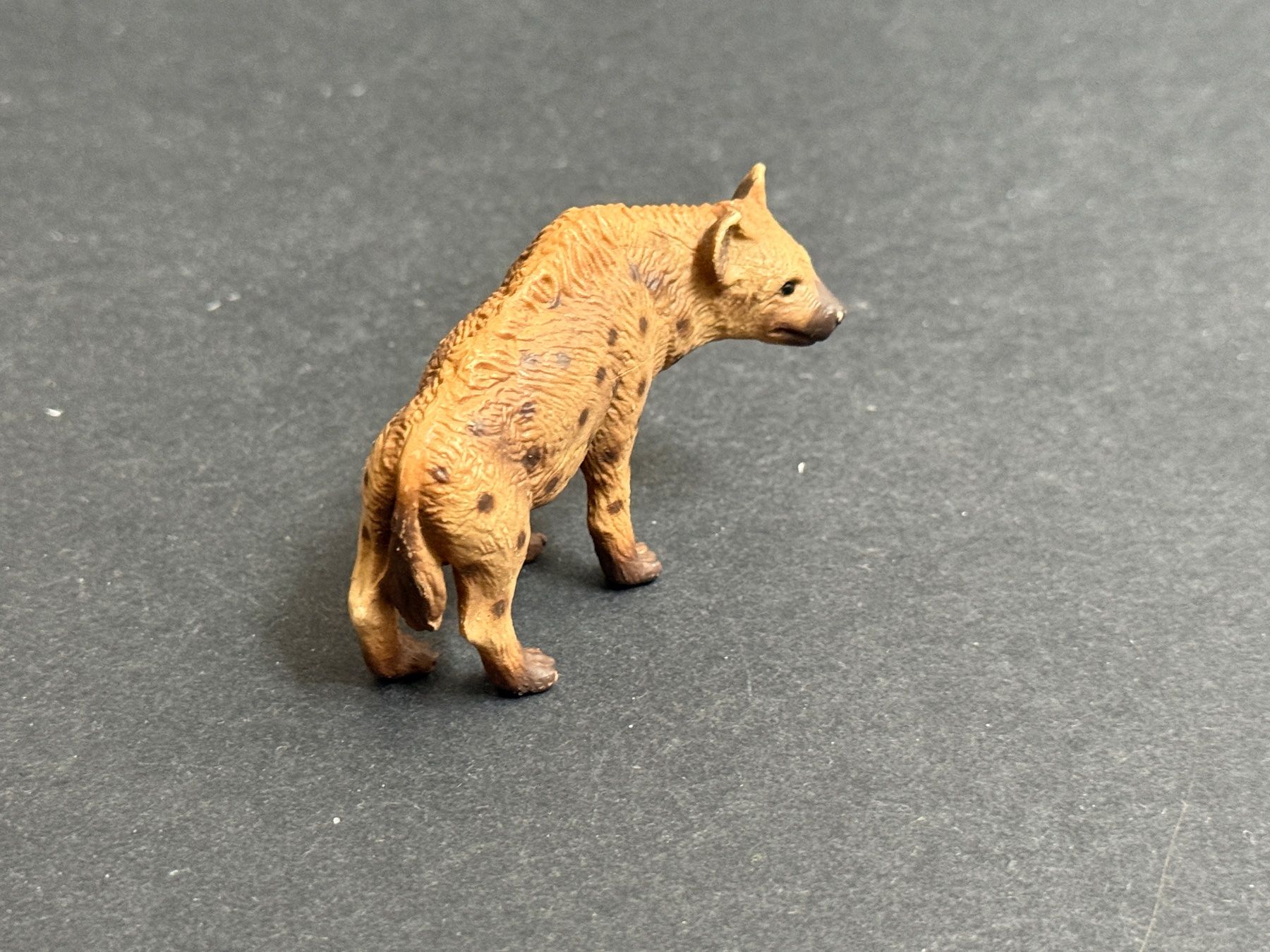 Schleich Statuette: Schleich Hyäne 1996 made in Germany Tüpfelhyäne – Usato da Ennetbaden venduto da mapa05 6