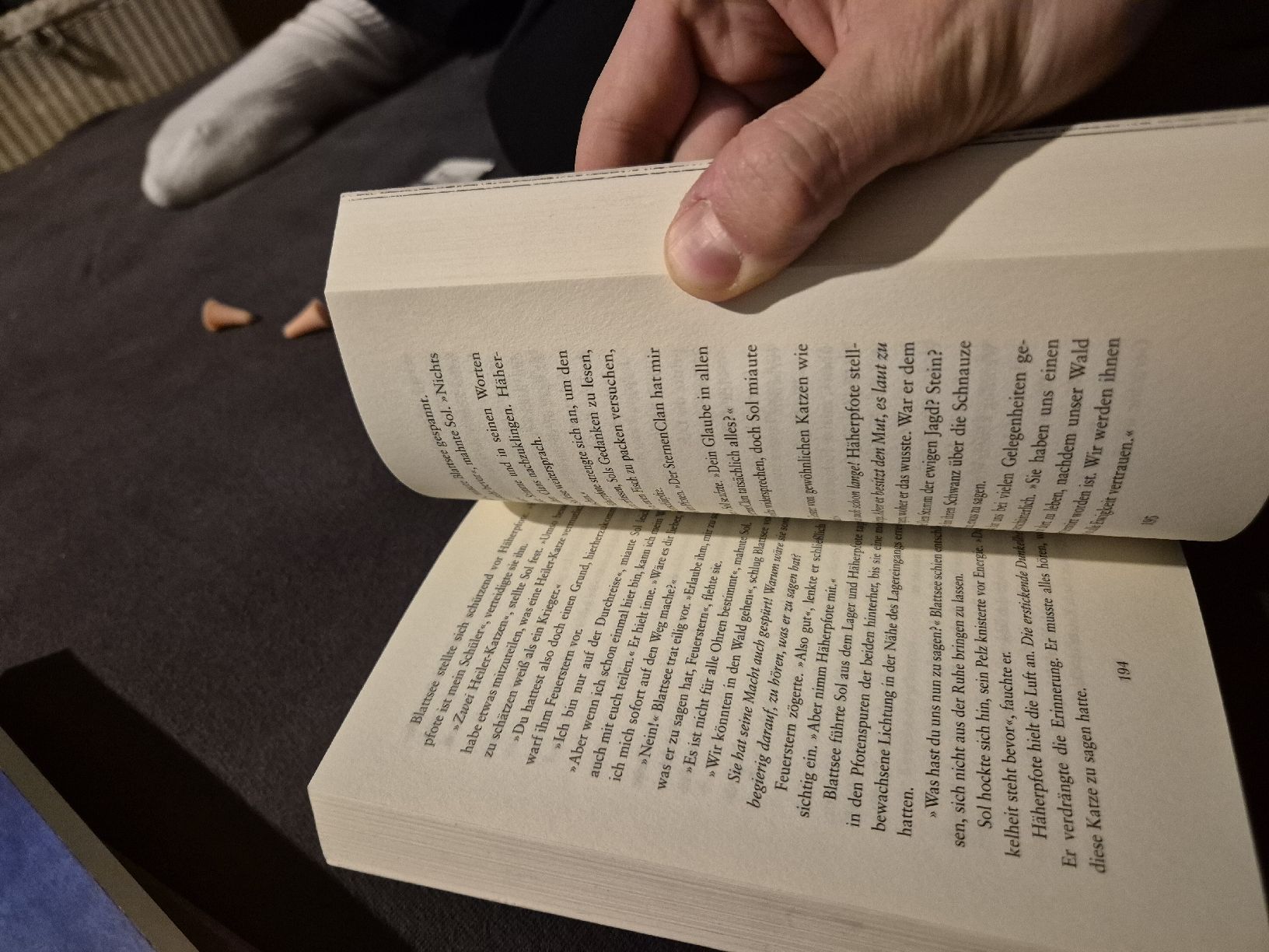 Libri: Warrior Cats - Zeit der Dunkelheit – Usato da Nürensdorf venduto da luc_9ksf 3