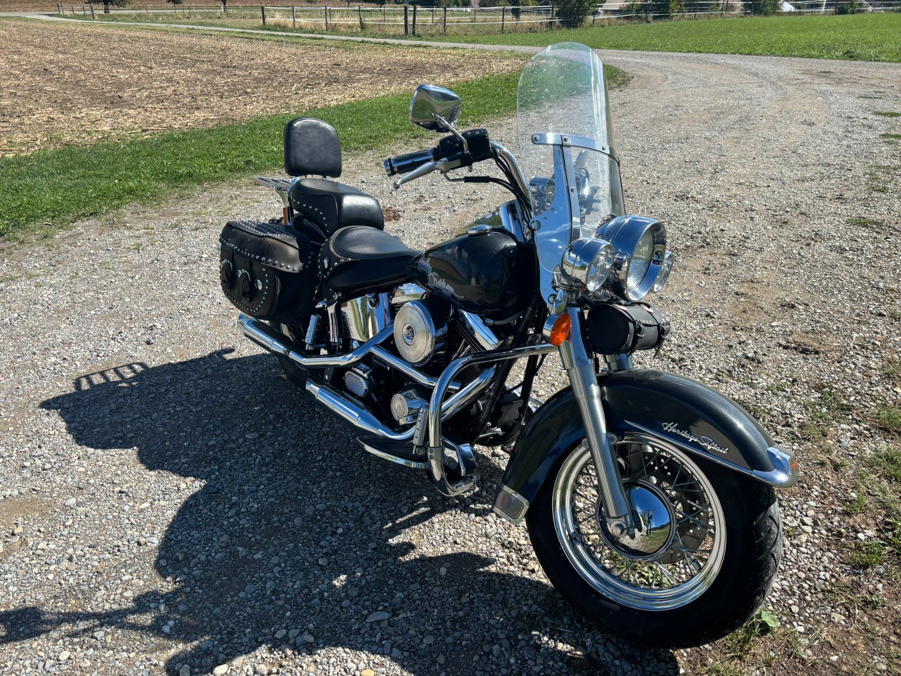 Harley-Davidson Chopper: Harley Davidson – Gebraucht aus Berg am Irchel von cent007 4