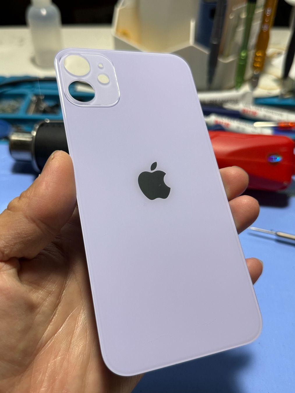 Apple Telefoni cellulari / Smartphones: VITRE ARRIÈRE IPHONE 11 violet (AVEC LOGO) – Nuovo e nell'imballaggio originale da Morges venduto da DA-repa
