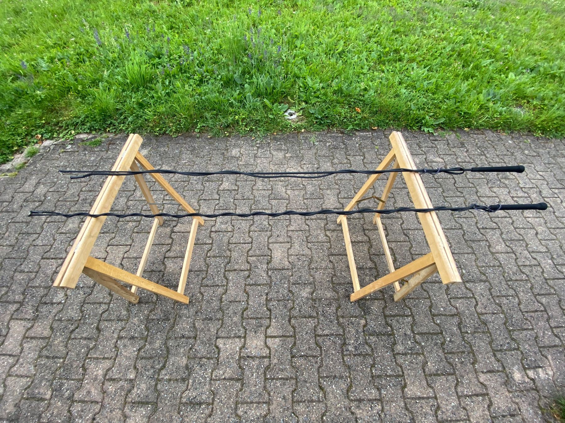 Carrozze: 2 schöne Longierpeitschen – Usato da Feldbach venduto da Fea1