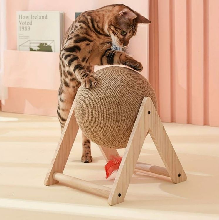 Wandmontiertes Katzenbaumhaus Pilz-Design – Kletterregal, Kratzbaum & Hängematte Aus Massivholz